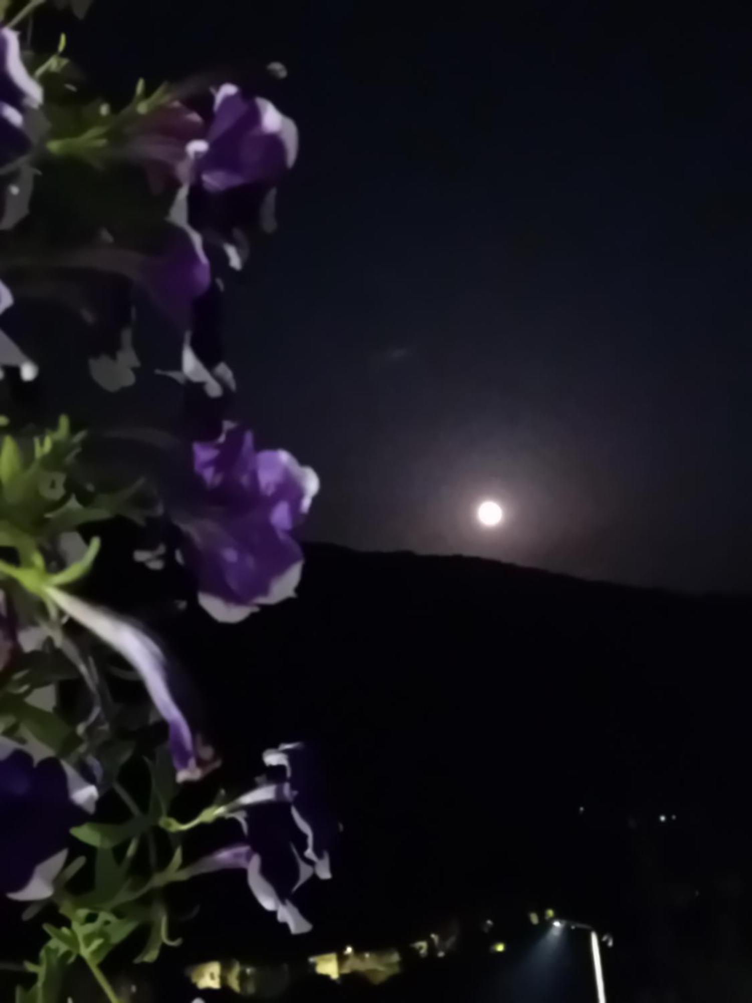 Apartamento Mala Kuca Foca Exterior foto
